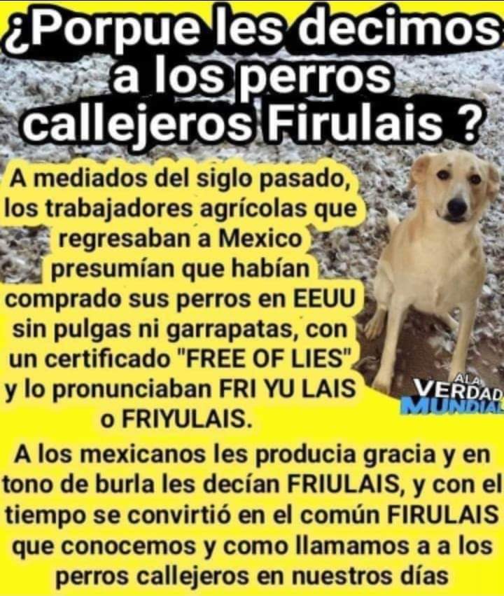 Proyecto Yolkatl, Movimiento Animalista tweet media