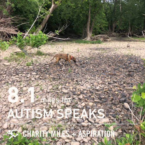 HHGStudio's tweet photo. 8.1 @CharityMiles for @autismspeaks. https://t.co/ohZAT4PdaO