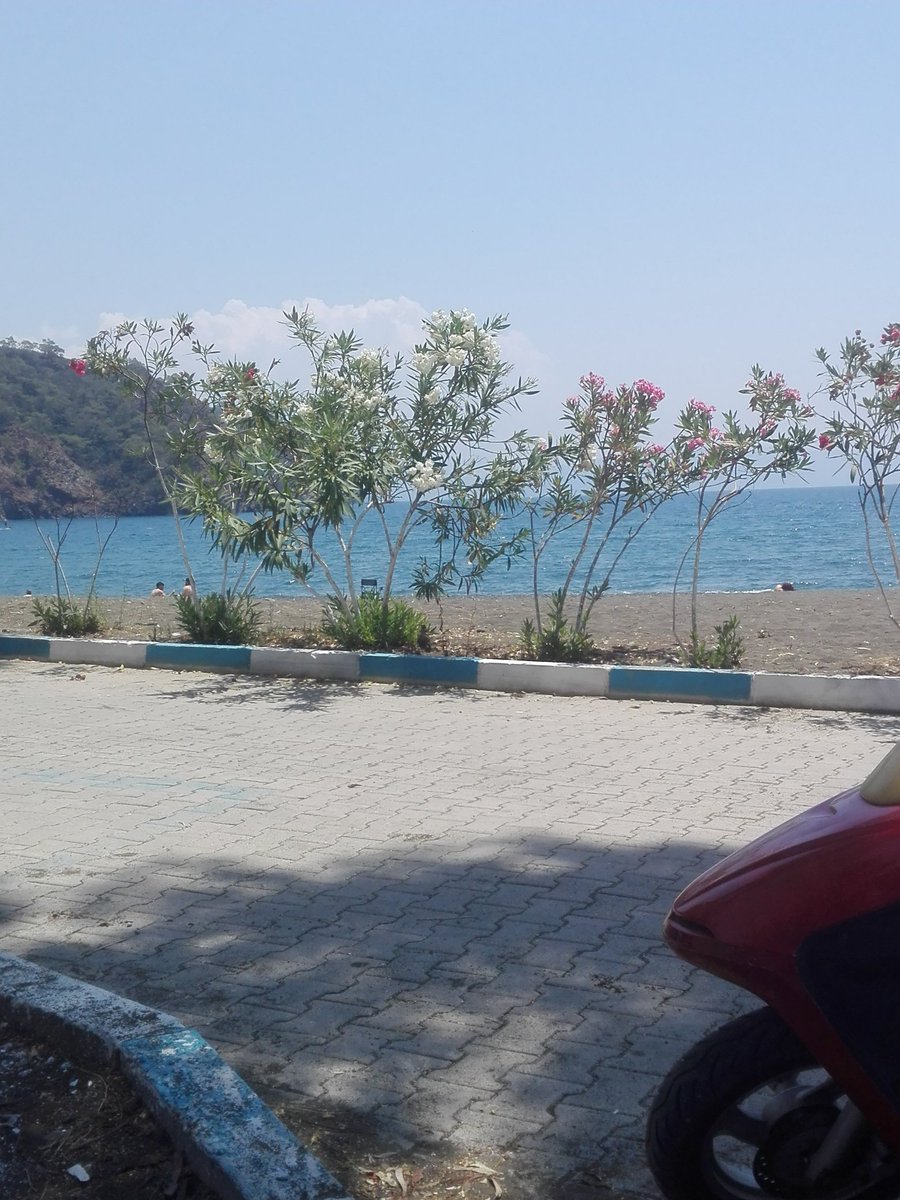 arzu (@arzu45939458) on Twitter photo 