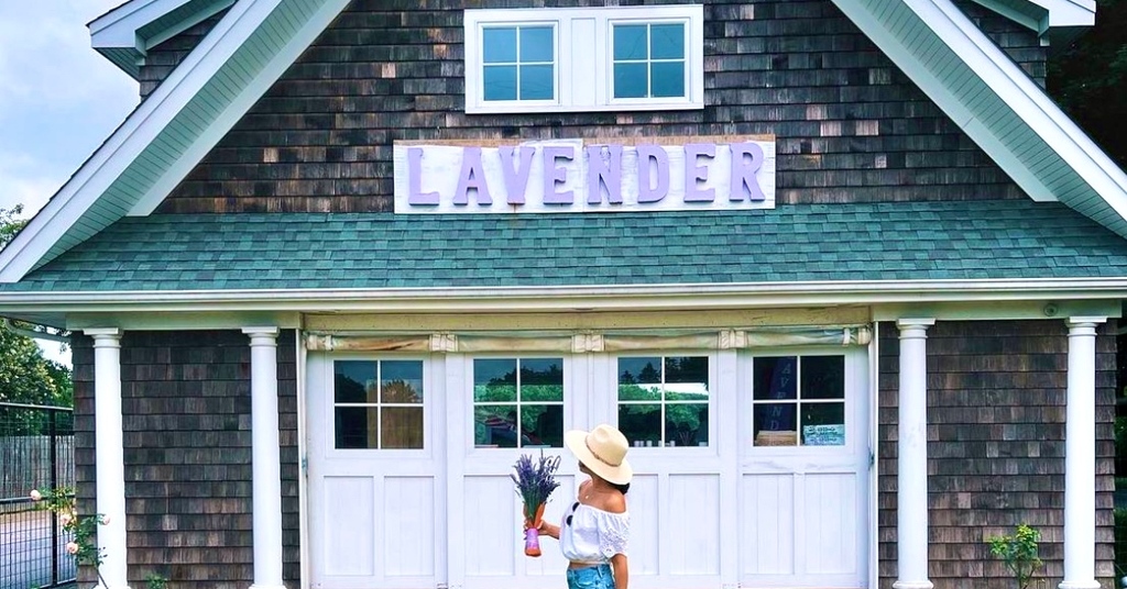 DiscoverLINY's tweet photo. Sundays are for stopping & smell the lavender πππΎ@lavenderbythebay
πΈ: @lavenderbythebay
#discoverlongisland #whereyoubelong #longisland #longislandnewyork #liny #exploreliny #lavenderbythebay #lavender #lavenderfield #eastmarion #calverton https://t.co/SzSD8j2rOg