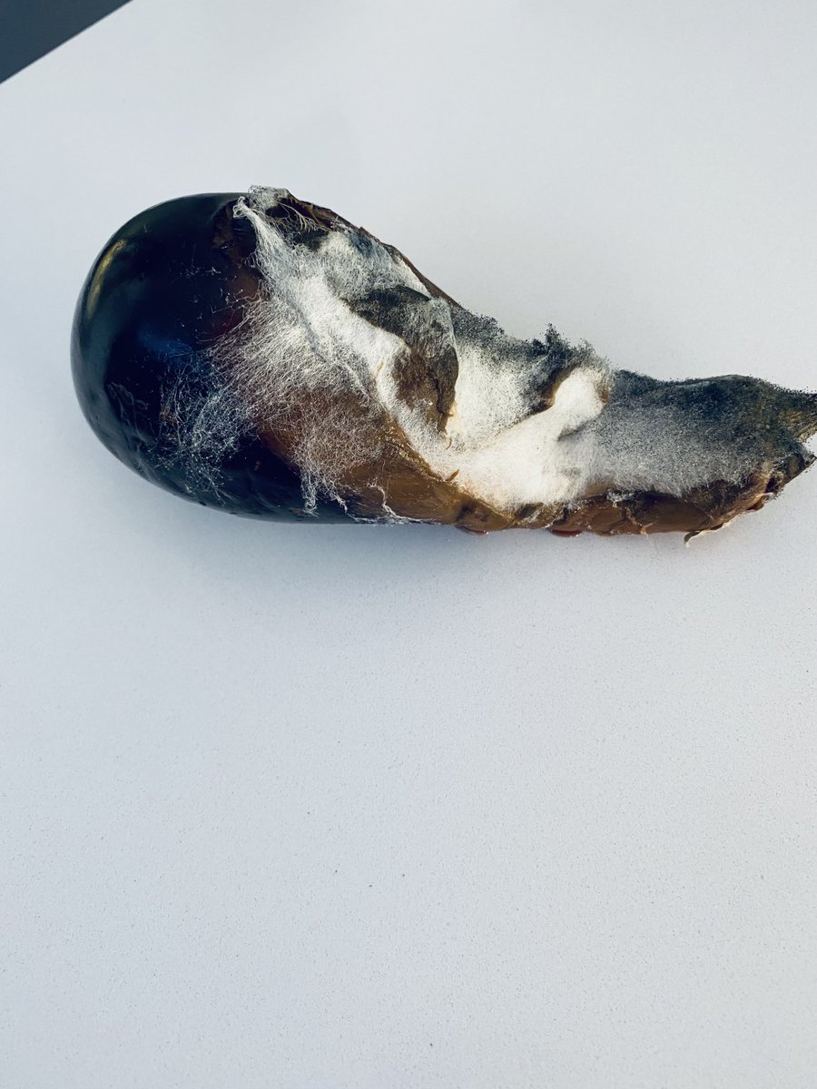 Emma Taylor tweet media