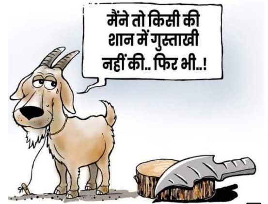 srimaddharmdutt's tweet photo. बलिदान न सिंह का होते सुना, बकरे बलिबेदी पर लाए गए।
बलवान का बाल न बाँका भया, बलहीन सदा तड़पाए गए।। 
(एकादशी के महापर्व पर जीव-बलि अघोर सम्प्रदाय में भी वर्जित है। बलि वैश्विक मानवता हेतु घातक है मुस्लिमविश्वविद्यालय अलीगढ़ के प्रोफ़ेसर भी सहमत है अघोरका भाव भी वैष्णव होना चाहिए) https://t.co/fxmYoZXYse