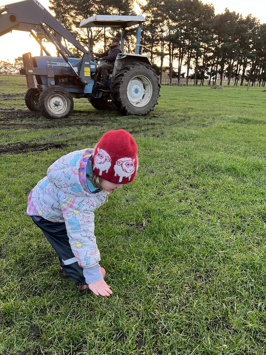 For Tonight’s lesson we gave the gates a rest and focused on pasture covers while Daddy loaded the “Baa Baa Beets”!