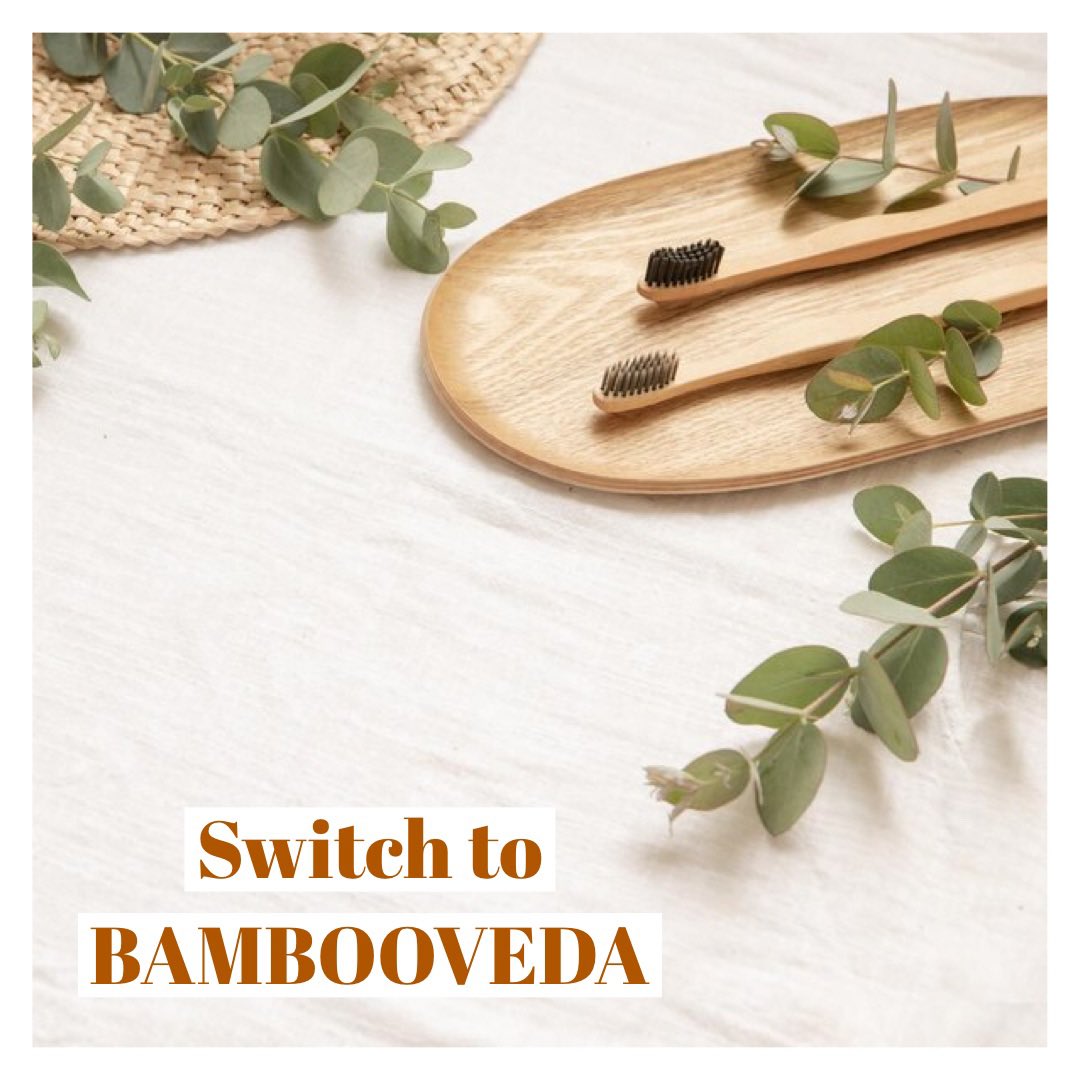 bambooveda1's tweet photo. Bamboo toothbrushes are an eco-friendly alternative compared to their plastic counterparts. It is a renewable  resource will help eliminate your plastic waste in the environment.#bambootoothbrushes #organic #bamboos #dental #dentist #dentalhygienist #oralhealth #dentalhygiene https://t.co/JgZ5b9AGil