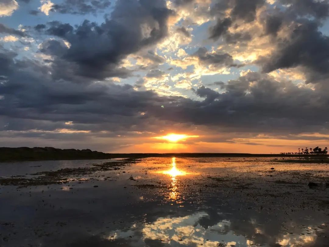 DiarioElLitoral's tweet photo. ¡Buen día #Corrientes! 😃

Tenemos hoy una temperatura de 21° y se prevé una máxima de 28°.

Seguí con nosotros en https://t.co/QGSrgYWEcE 📲 y en la edición impresa 📰

PH: @luismoulin https://t.co/et5gSt4lyq