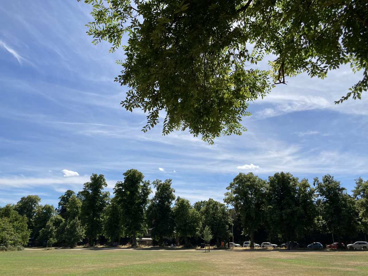 The A Level Biologist - Your Hub tweet media