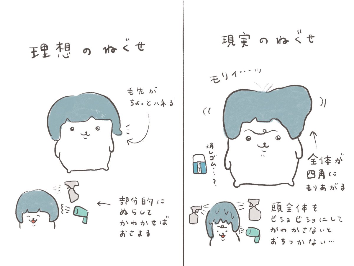 ねぐせ 理想と現実 