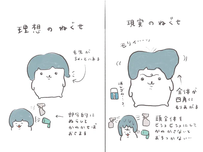 ねぐせ 理想と現実 