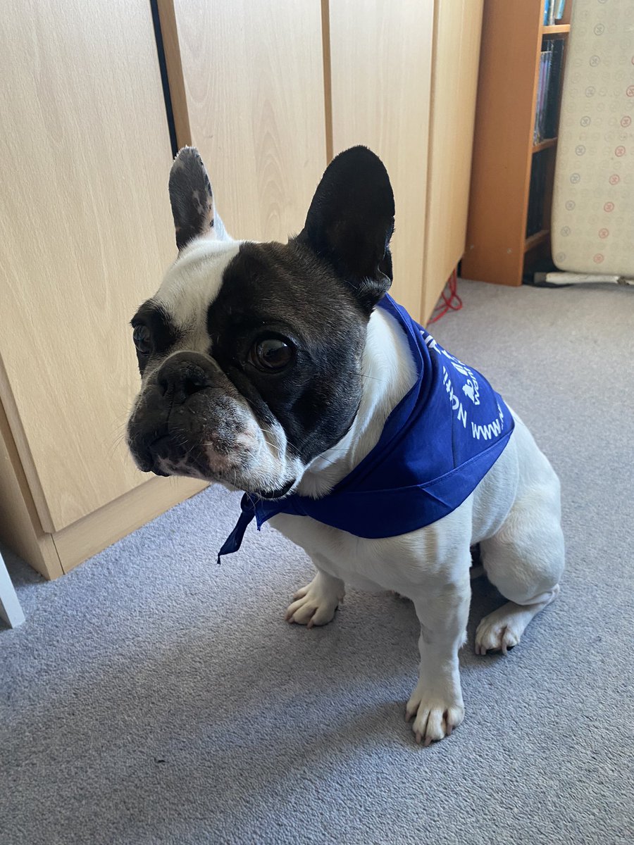 <a href="/priya_sharp/">Priya Sharp</a> <a href="/VetEd2022/">VetEd2022</a> I put Bear’s (soaked) in the freezer!! Perfect in this heatwave! ☀️