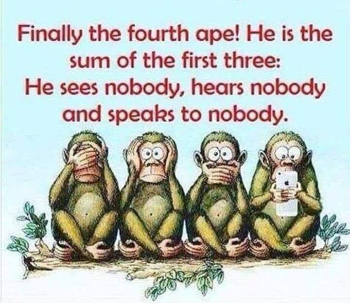 Finally, the fourth ape!