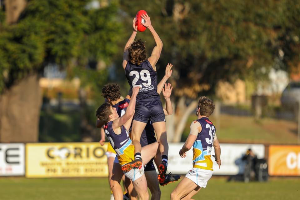 Geelong Falcons tweet media