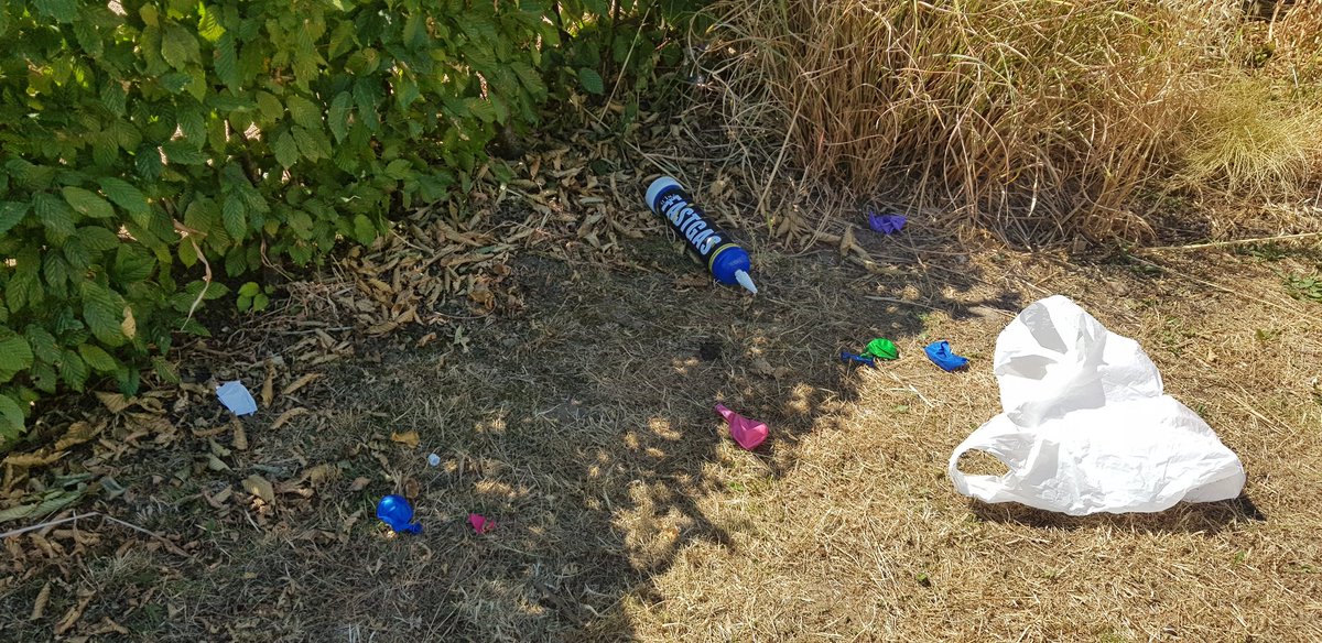 Proof doing gas damages your brain - no, it is not acceptable to leave your party litter in the park - making everyone else miserable is not how to party! #loveparks