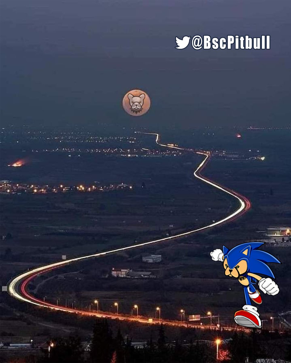 BscPitbull_KR's tweet photo. Nobody can hold @BscPitbull down (down)
Nobody can slow @BscPitbull down (down)
Cause $PIT was born to run

BGM: https://t.co/IghQBTEEt1

#pitbulltoken #Pitbullish https://t.co/vRzgw6BYsy