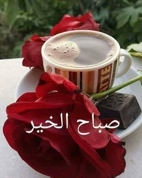 Alaraqi781's tweet photo. @Ahemed60364814 https://t.co/ok49k28E7j