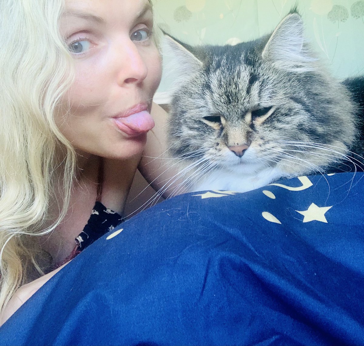 We all have that mom obsessed with selfie. Do you? #catmom #CatsOnTwitter #SelfieSunday #siberiancat #HappySunday ❤️☀️🪴🏴󠁧󠁢󠁳󠁣󠁴󠁿😇#Edinburgh #smile