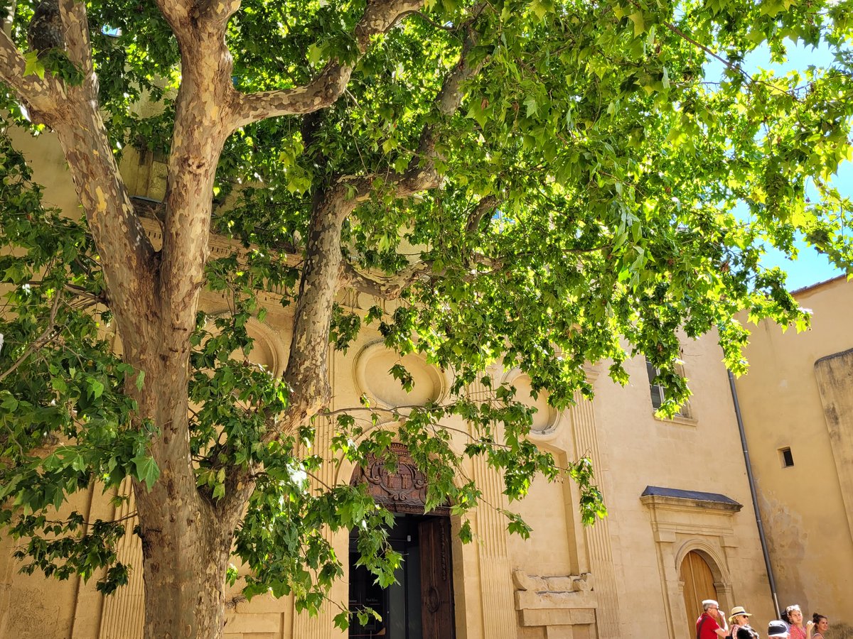 SophieBourdais's tweet photo. À chaque @festival_aix sa découverte extra-musicale. Cet été c'est la #ChapelleGranet, annexe du @museegranet, et la fantastique #collectionplanque 🤩 https://t.co/g5z16e3r41
