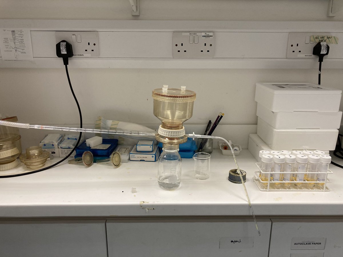 Laziness truly is the mother of invention: McGyvered an aspirator together to take medium off 12 cultures 😂