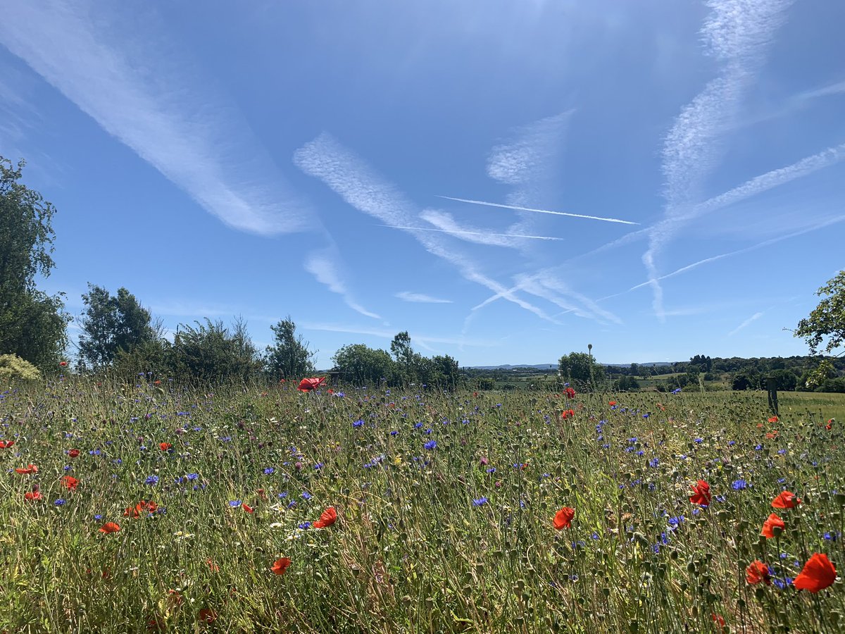 Home in the sunshine ♥️