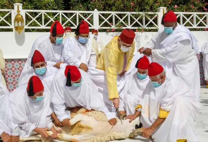 benkhalidhamza's tweet photo. May God bring us the happiness, welfare as well as the prosperity under high patronage of HM the king #mohammedVI. #happyaid #عيد_الاضحى #المغرب #Moroccan #Morocco #المملكة_المغربية https://t.co/bkreeySsqr