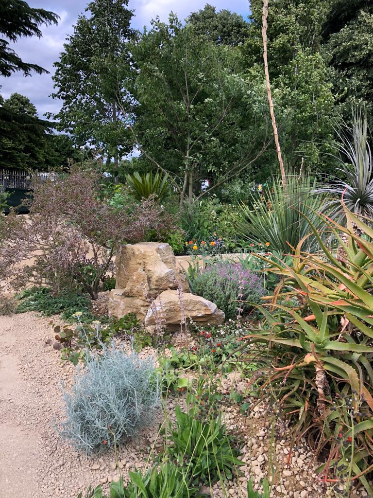 GuildfordnBloom's tweet photo. Thank you #SarahEberleLandscape for your generous donation of plants from #IconicHorticulturalHeroGarden @The_RHS Hampton Court Festival to @PondMeadowAT .  They will make a world of difference and we are proud to have been able to facilitate this. https://t.co/yOGUt5NXV1