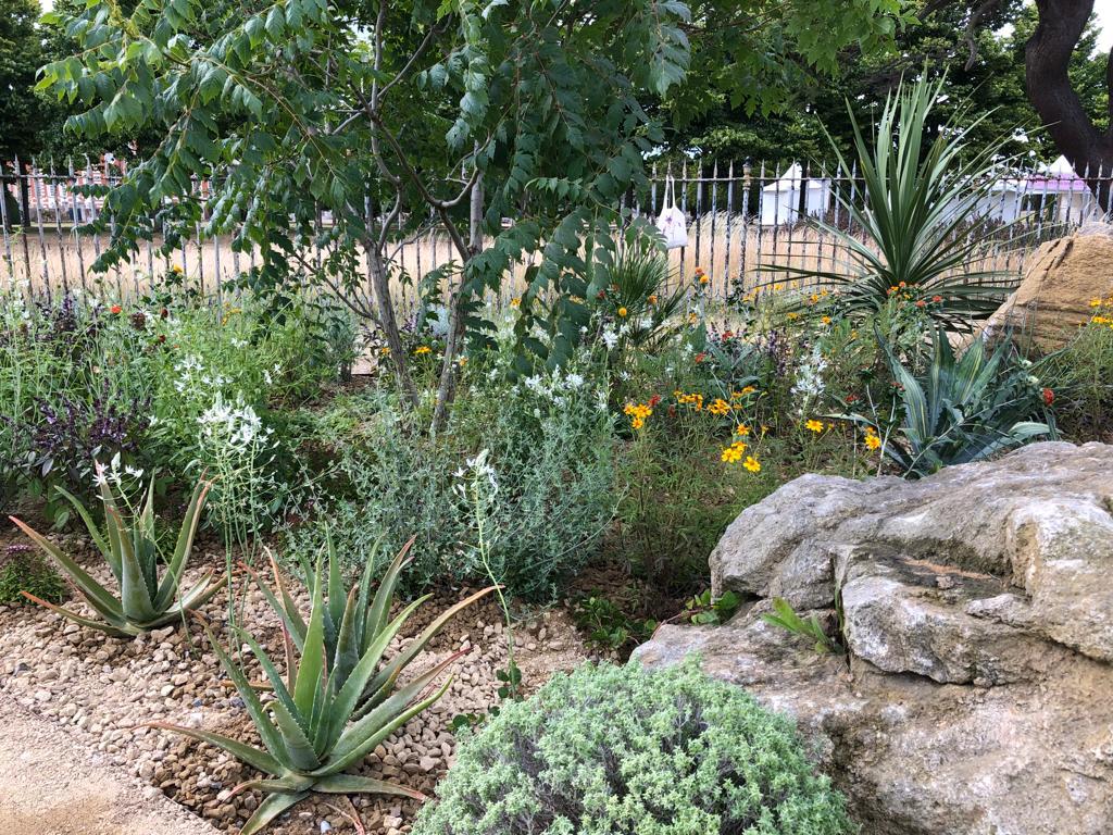 GuildfordnBloom's tweet photo. Thank you #SarahEberleLandscape for your generous donation of plants from #IconicHorticulturalHeroGarden @The_RHS Hampton Court Festival to @PondMeadowAT .  They will make a world of difference and we are proud to have been able to facilitate this. https://t.co/yOGUt5NXV1