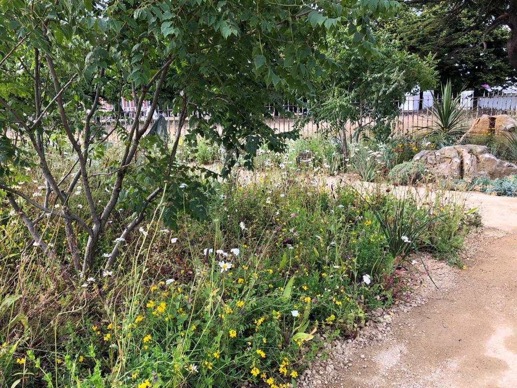 GuildfordnBloom's tweet photo. Thank you #SarahEberleLandscape for your generous donation of plants from #IconicHorticulturalHeroGarden @The_RHS Hampton Court Festival to @PondMeadowAT .  They will make a world of difference and we are proud to have been able to facilitate this. https://t.co/yOGUt5NXV1