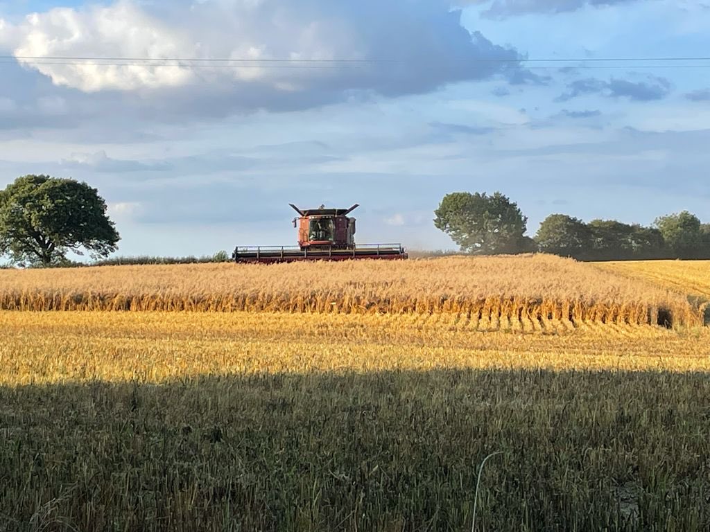 Tom Bradshaw (@proagriltd) on Twitter photo Due to unforeseen circumstances we are looking for an extra member of staff to join immediately.
Experience of combine driving would be a huge benefit but training can be given.
Accommodation available on farm; Colchester, Essex.
Please email: manager@proagri.co.uk Due to unforeseen circumstances we are looking for an extra member of staff to join immediately.
Experience of combine driving would be a huge benefit but training can be given.
Accommodation available on farm; Colchester, Essex.
Please email: manager@proagri.co.uk