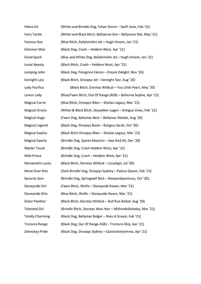 AnIrGreySale's tweet photo. The catalogue for our @Monmoredogs sale will be online from tomorrow but in the meantime you can check out those dogs attending below. https://t.co/HoiTACe22X