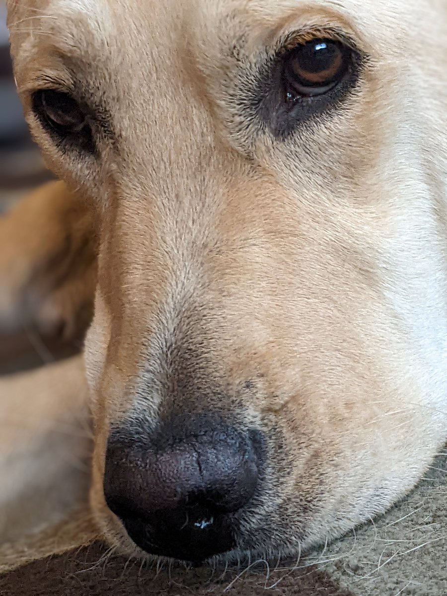 Thank you to <a href="/Mme_Anderson_/">Heather Anderson</a> for being an amazing host for <a href="/Sabin_MJHS/">Sabin</a> while our family was on vacation.  We are so grateful for you!  She also takes the best pics. <a href="/Milford_Schools/">Milford Schools</a> @MjhToddwells <a href="/PaulDaneducate/">Paul Daniels</a>