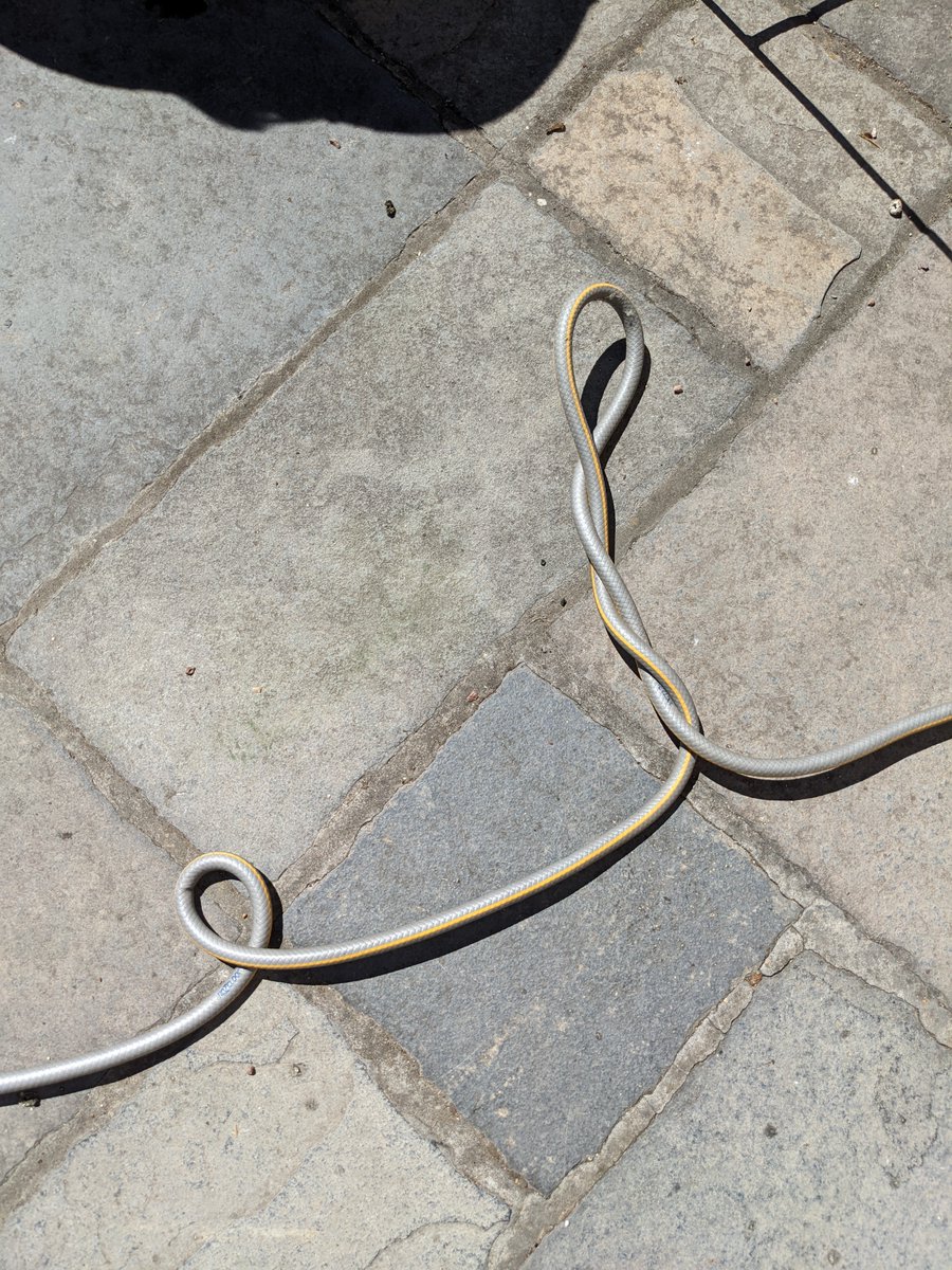 Filling up the bird bath is giving me PhD flashbacks...