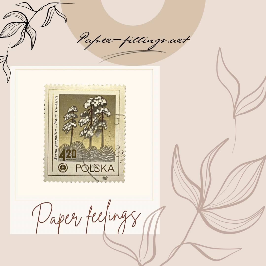 paper.feelings.official tweet media