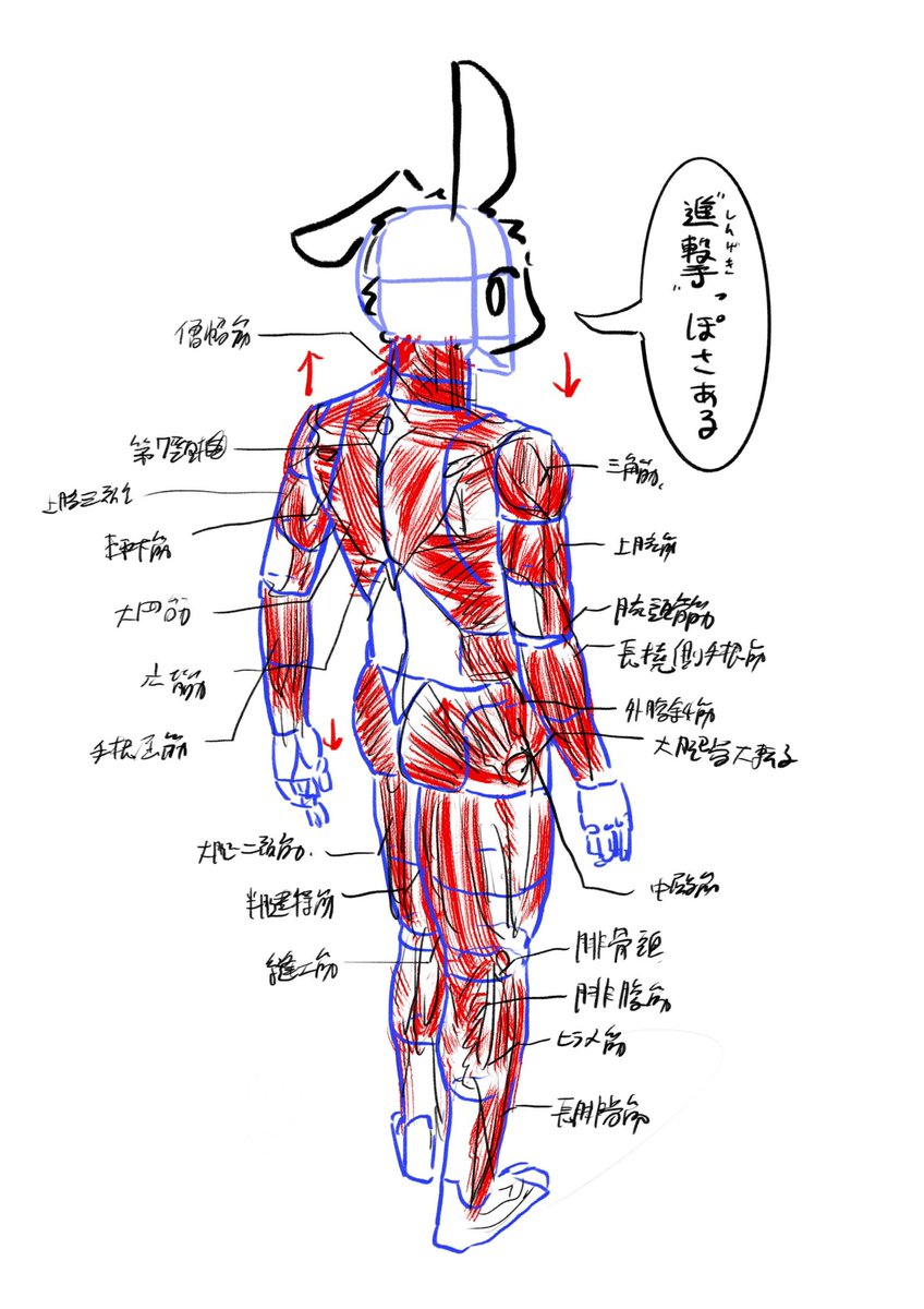 練習×勉強