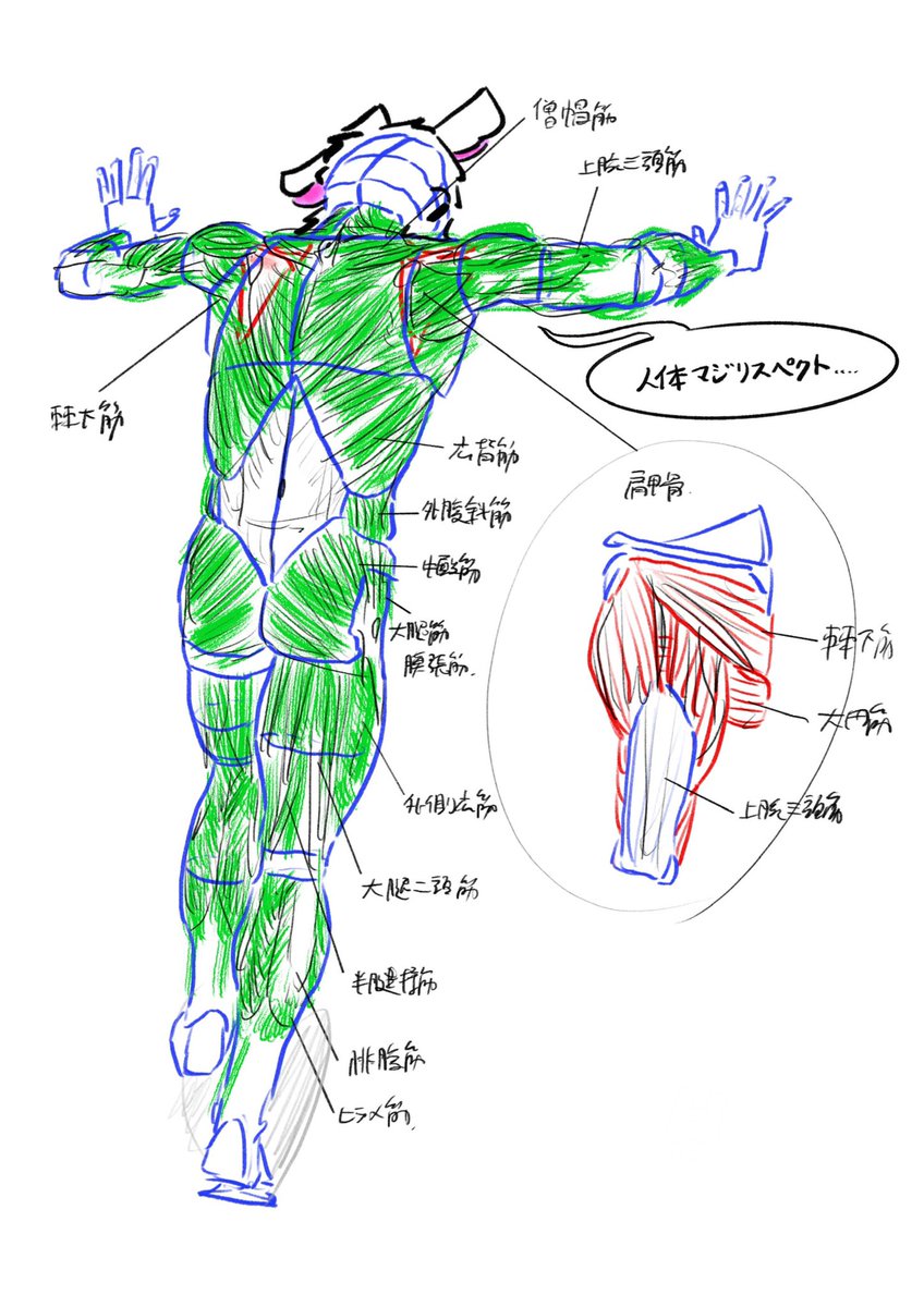 練習×勉強