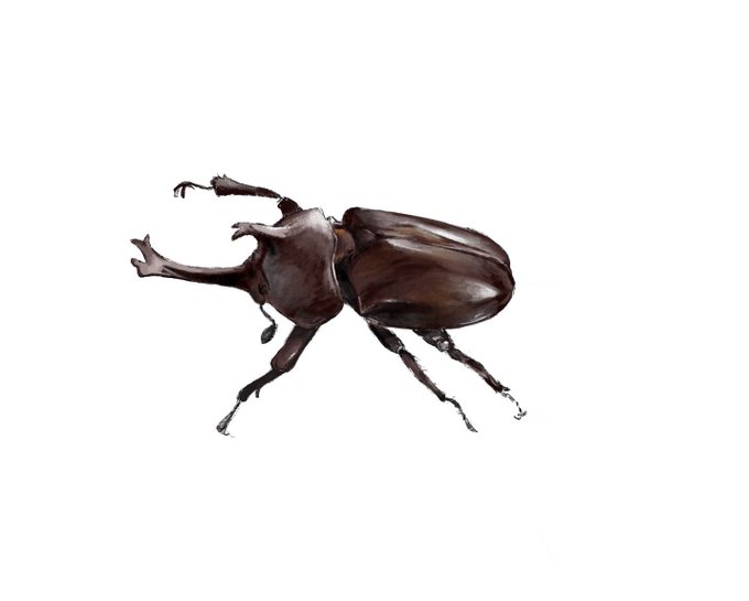 クワガタムシのtwitterイラスト検索結果