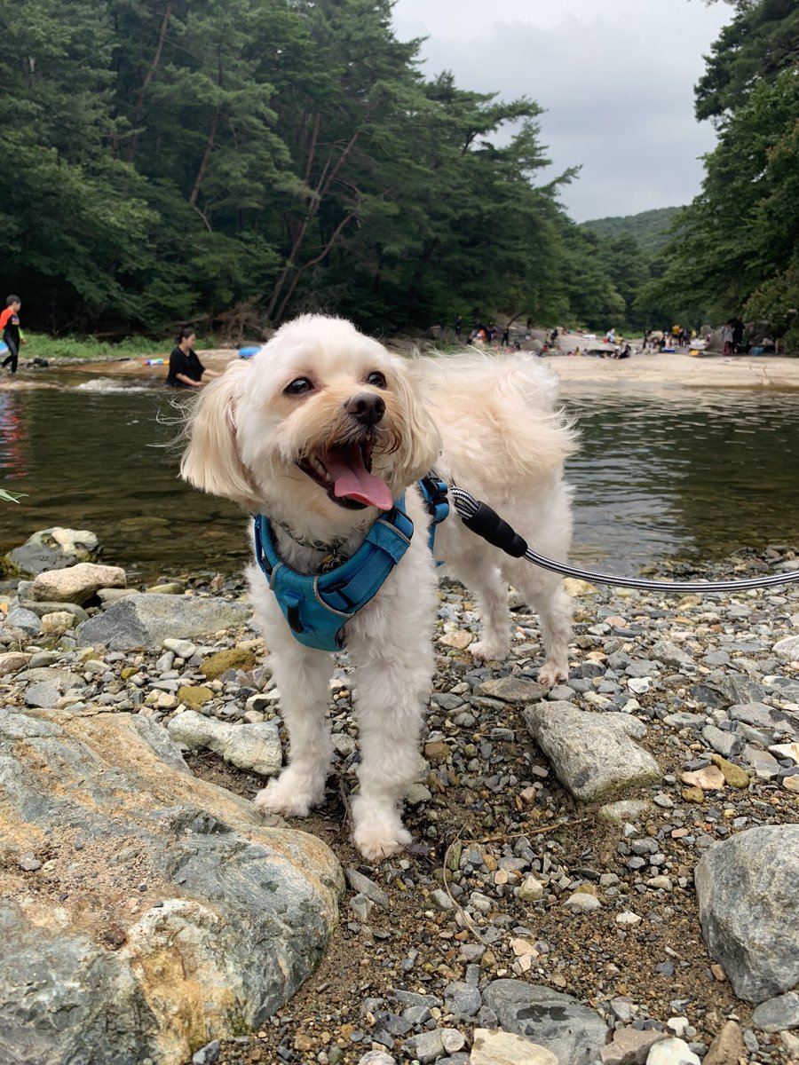 ruru_pee's tweet photo. 💦🌿🍀히죽

                          히죽🍀🌿💦 https://t.co/etHLqLGVvj