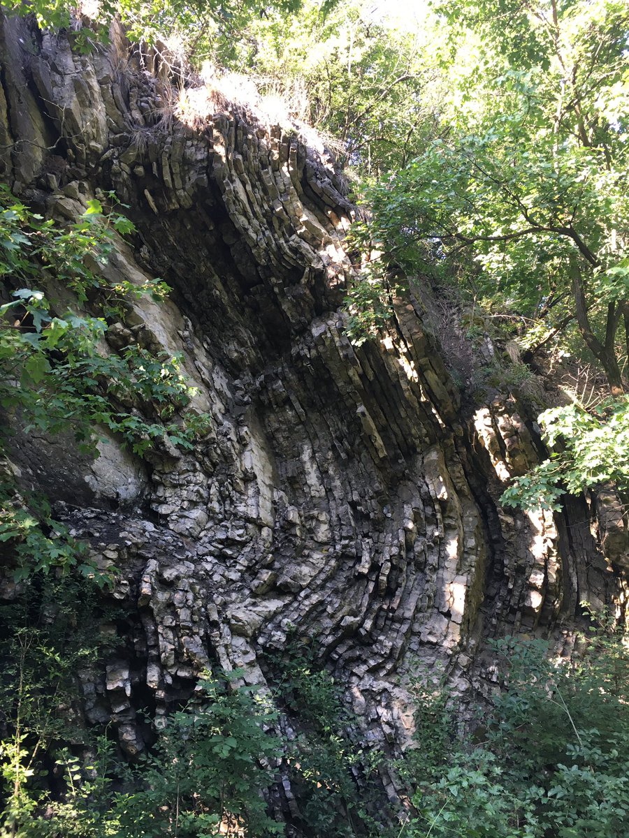 jancapfx's tweet photo. Swirly lava patterns📍Prokop Valley, Prague, CR https://t.co/ZCFPGtaAKT