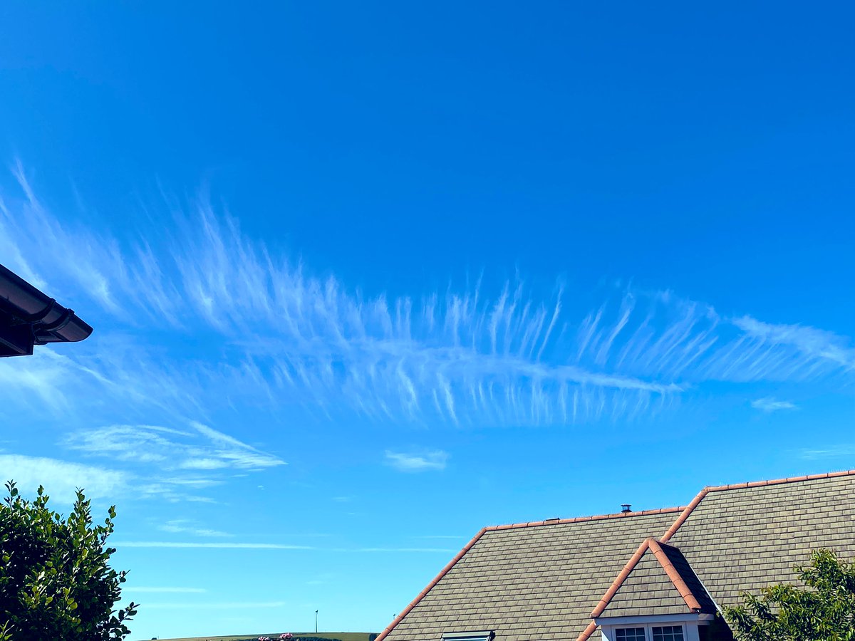 JenNicol9's tweet photo. Hey @SeanBattyTV look at this feather-like cloud! It’s Beautiful! https://t.co/Y716jpQtWM