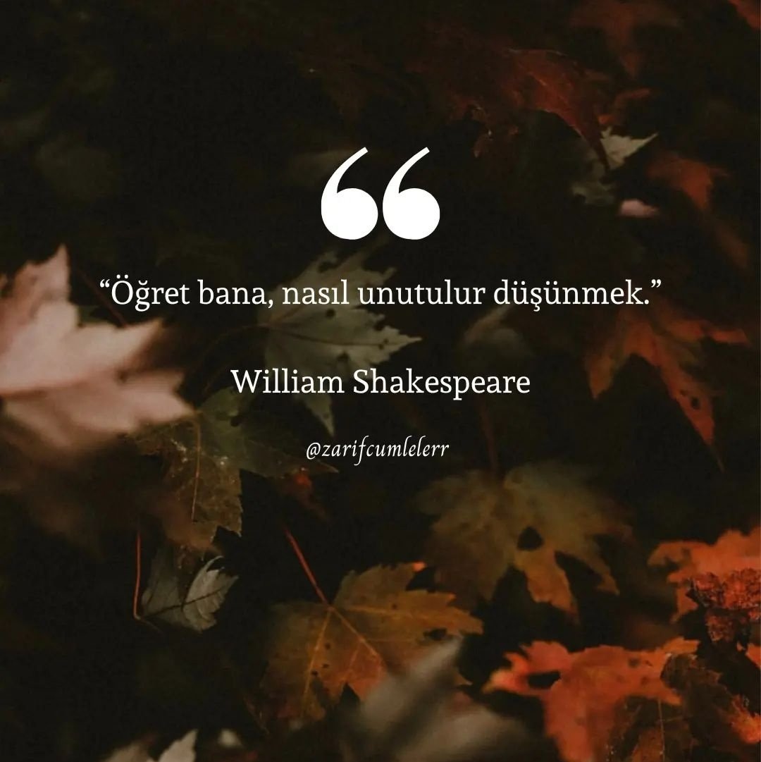 Busssra10's tweet photo. ..... https://t.co/MziGTyvBLk