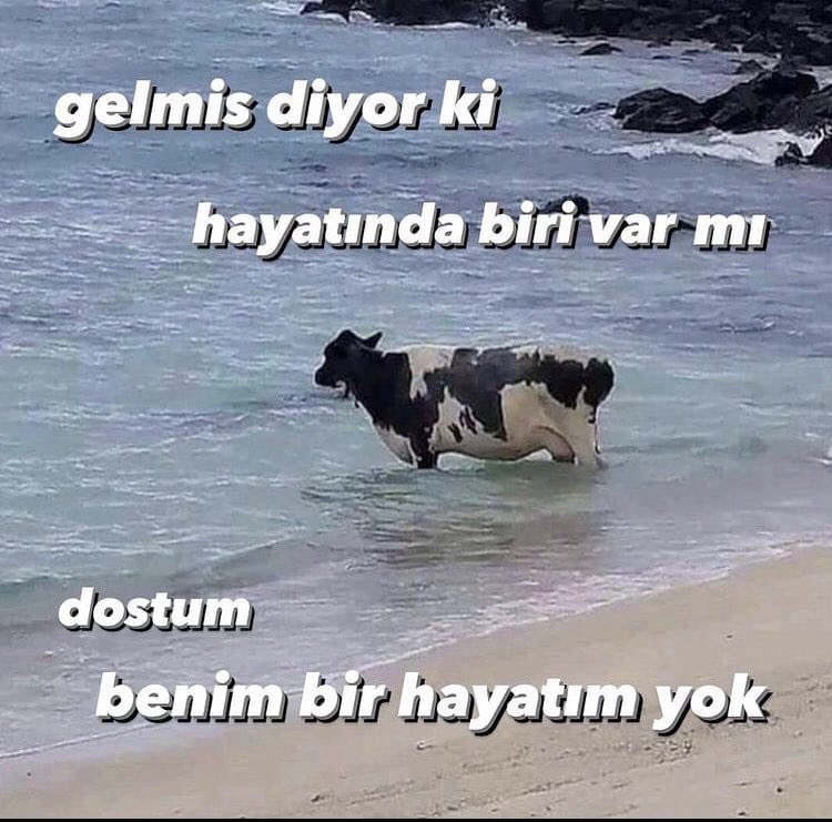 Benim Tarih’im 📕 (@bugunneolmusss) on Twitter photo 