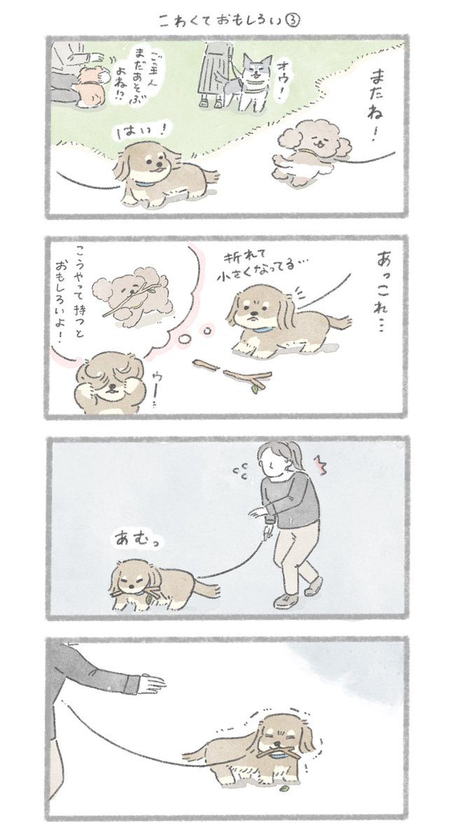 怖がりのダックスさん
#こんにちはいぬです 