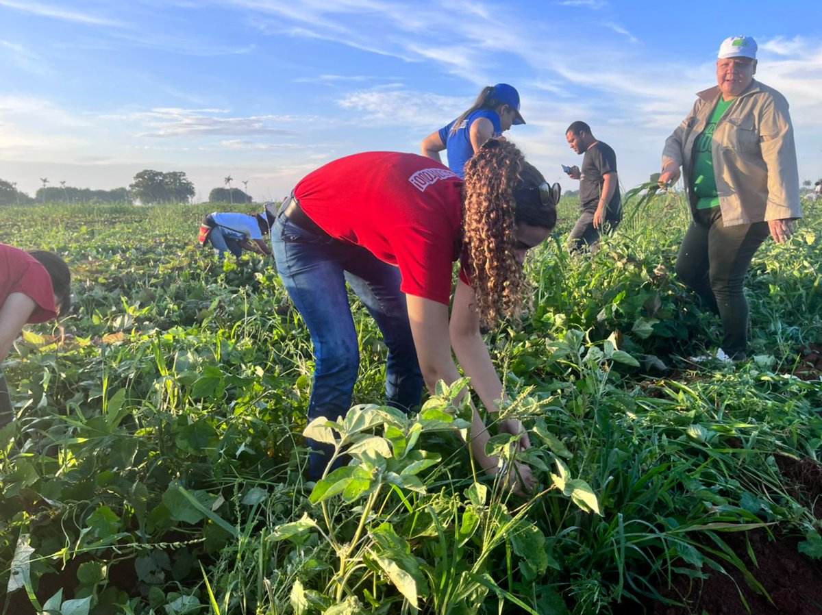 ¡Domingo de trabajo voluntario! 🇨🇺

El Presidente <a href="/DiazCanelB/">Miguel Díaz-Canel Bermúdez</a> amanece hoy en la granja agropecuaria 16 de Abril, ubicada en Bauta, Artemisa.

Entra al campo junto a un centenar de jóvenes habaneros.

#VamosConTodo #CubaPorLaPaz