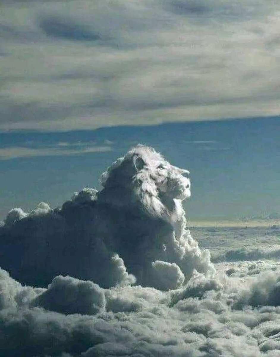 koliberki's tweet photo. Cloud Be Like Lion..!!
☁️☁️☁️☁️☁️☁️☁️☁️
#NaturePhotography https://t.co/rpWZRsGNM1