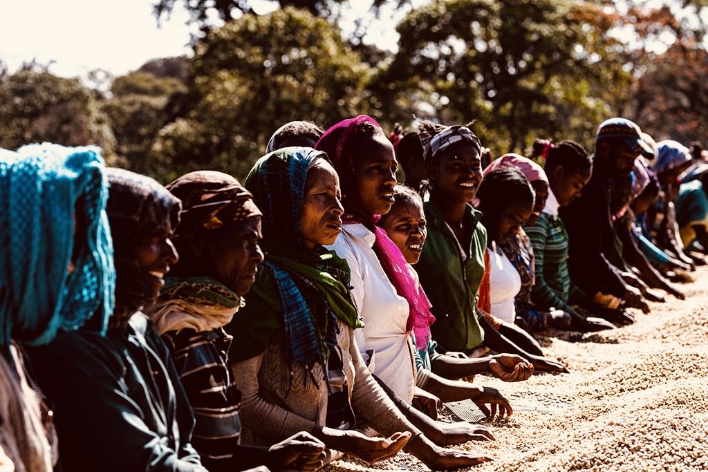 ObaOumer's tweet photo. In the last 12 months Ethiopia exported 300,000 tons of coffee and generated 1.4 billion USD. Compared with an average yearly earnings, the country generated an additional 500 million USD. I owe a very special thanks for all coffee families for their due contribution. https://t.co/VkSU4LoSSl