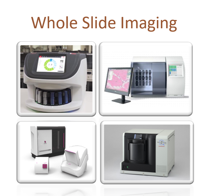 Instituto Nac. de Toxicología y Ciencias Forenses tweet media