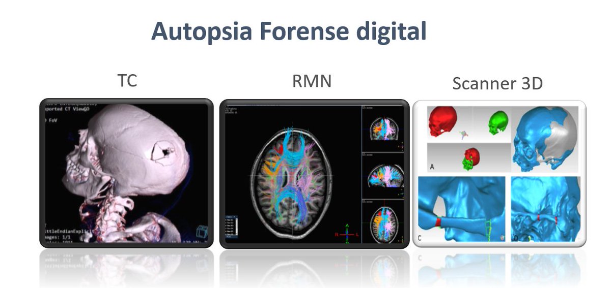 Instituto Nac. de Toxicología y Ciencias Forenses tweet media