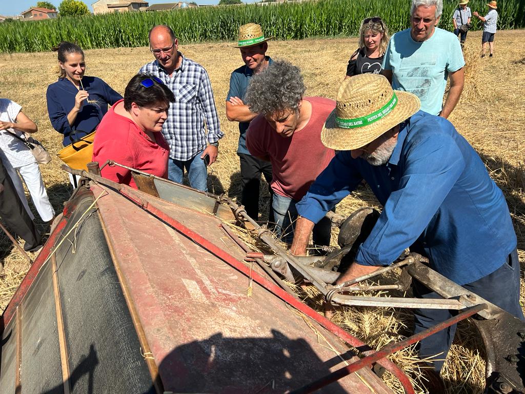 DiputacioLleida's tweet photo. 📢Avui s'estan duent a terme les 42es Festes del Segar i el Batre de la #Fuliola. La vicepresidenta del @IEILleida @niarufach els ha acompanyat en aquesta activitat, utilitzant les eines que s’empraven per a realitzar aquestes tasques al camp🌽
#laforçadelsmunicipis https://t.co/4wXIzcTJ0x
