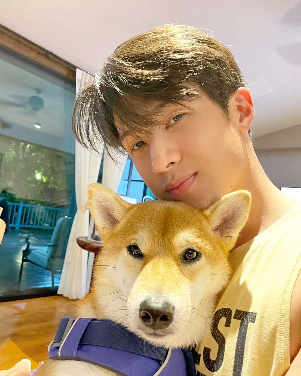 tuktikneko's tweet photo. Cute cute cute 😻🐶💘 #เจมส์มาร์ #jamesma #JmaXMaiko https://t.co/8DYNz7AF2z