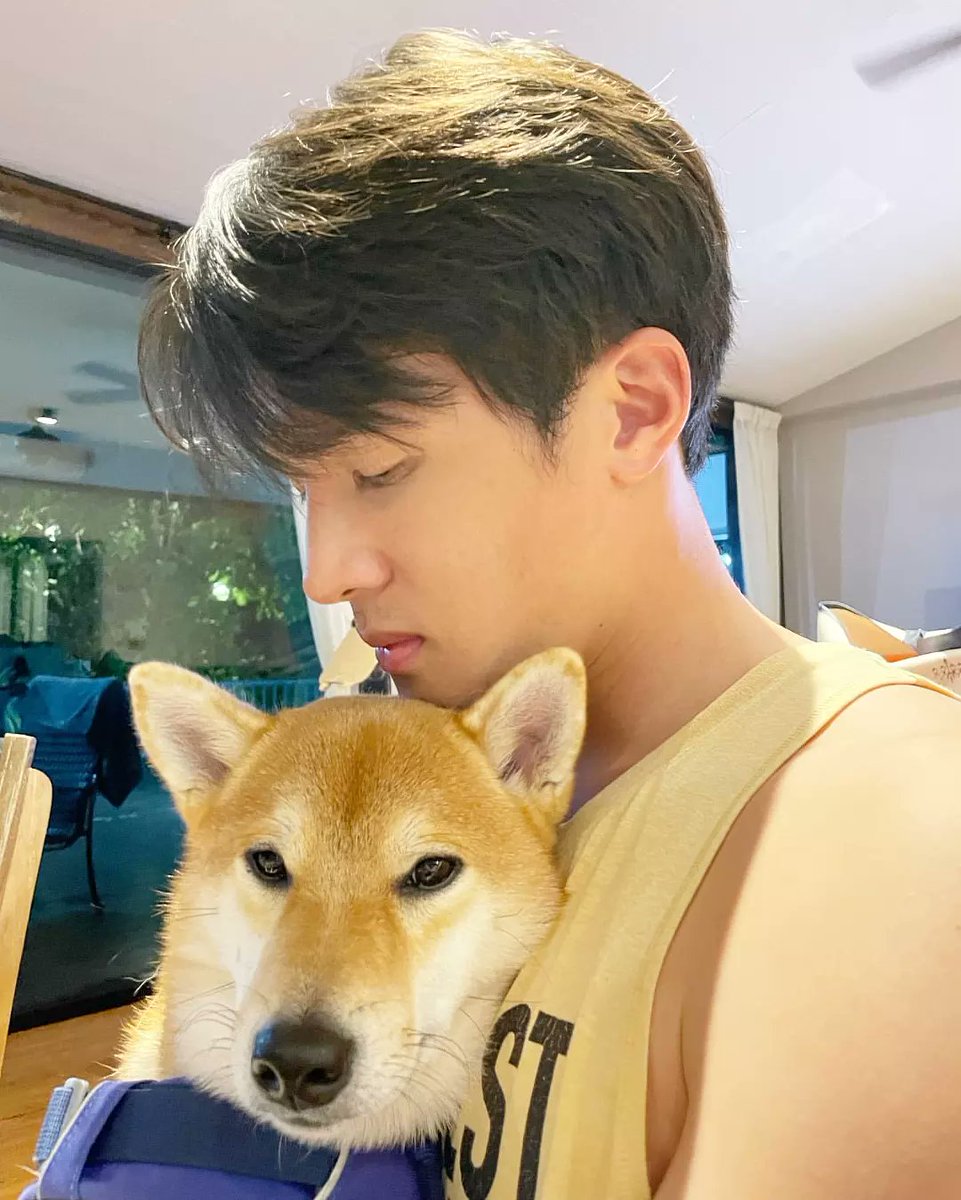 tuktikneko's tweet photo. Cute cute cute 😻🐶💘 #เจมส์มาร์ #jamesma #JmaXMaiko https://t.co/8DYNz7AF2z