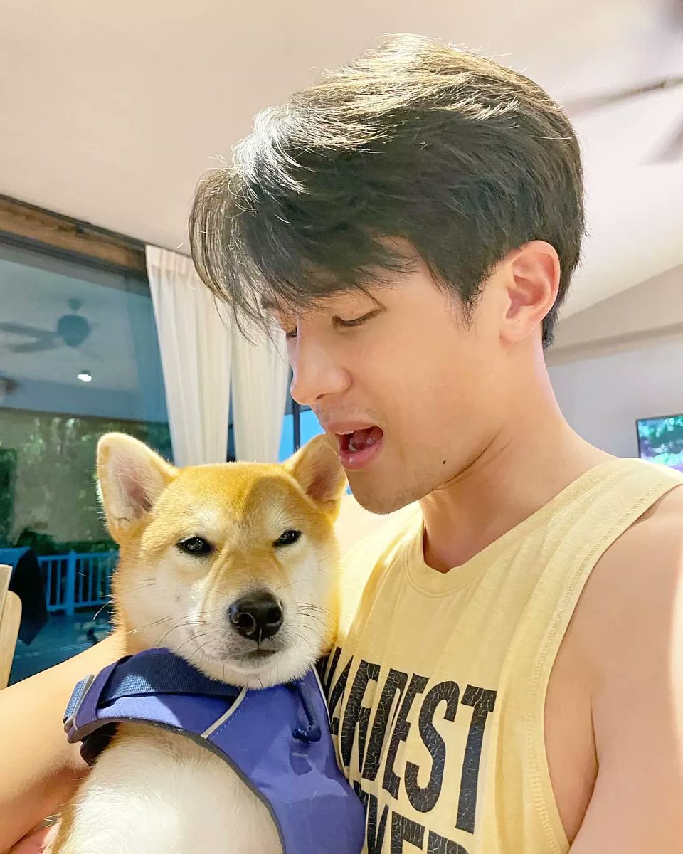tuktikneko's tweet photo. Cute cute cute 😻🐶💘 #เจมส์มาร์ #jamesma #JmaXMaiko https://t.co/8DYNz7AF2z
