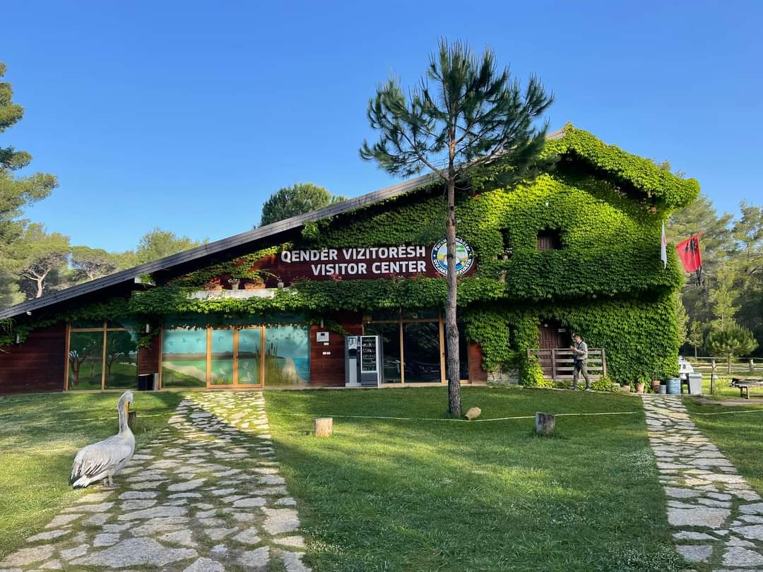 PbM67693226's tweet photo. 📌Divjakë, Albania
#Divjake #QënderVizitoresh
#VisitAlbania ❤️🇦🇱 https://t.co/x7nkgelJvX